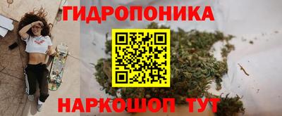 гидра Пушкино