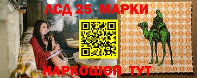 гидра Пушкино