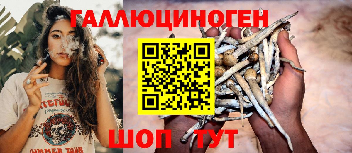 Галлюциногенные грибы Cubensis  Вход с VPN  Старая Купавна 
